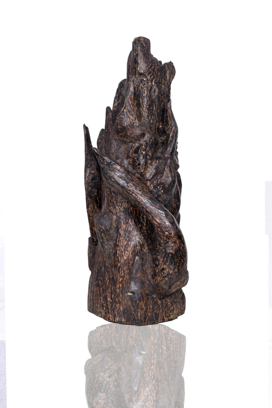 Complete 1168g Agarwood Piece Wild and Rare