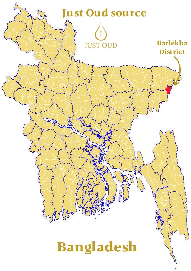 Hindi Oud Agarwood Chips Sinking Grade 20-Year | Bangladeshi/Hindi Oud Chips