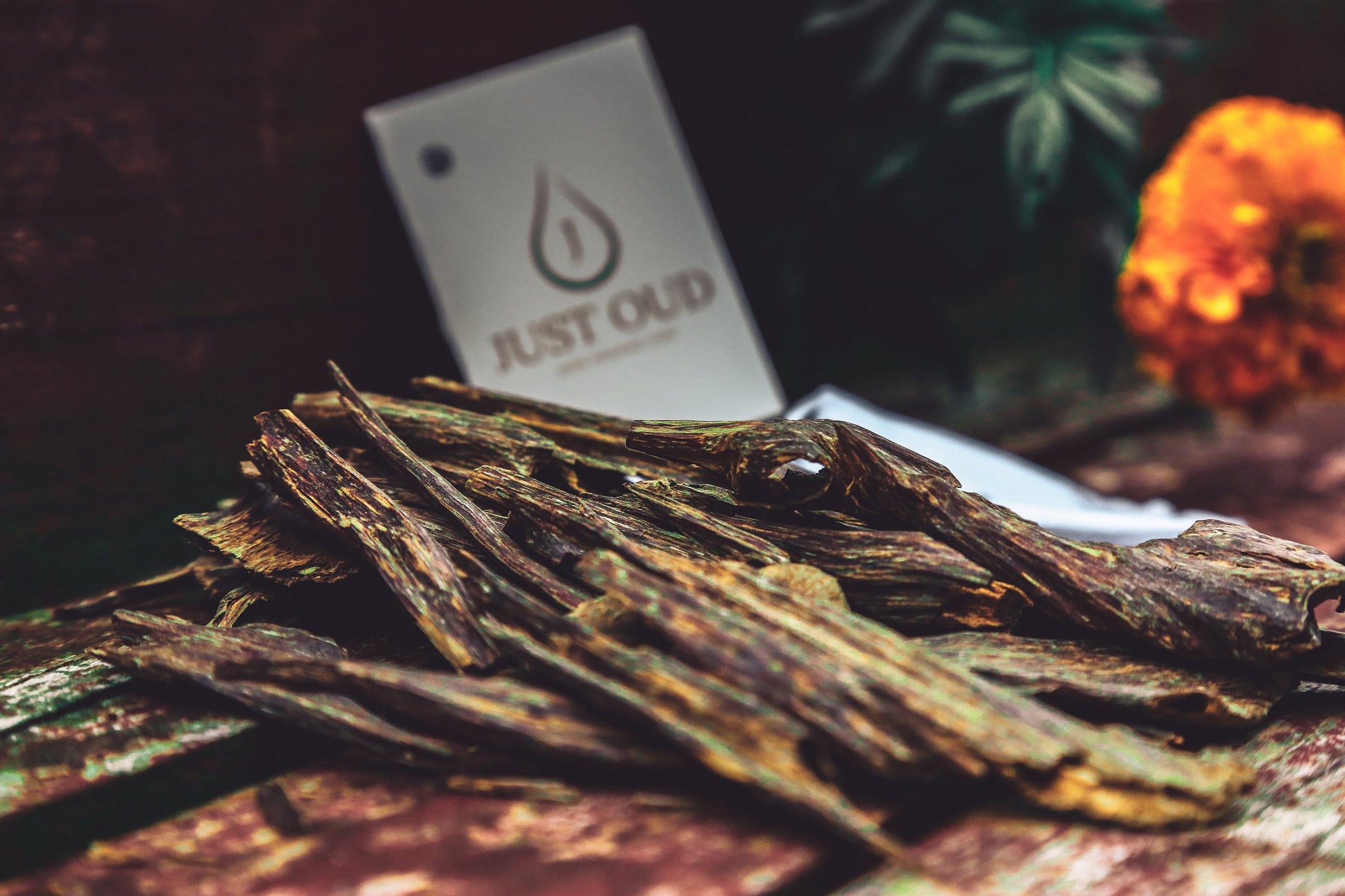 AA Grade Hindi Oud Agarwood Chips | Bangladeshi/Hindi Oud Chips